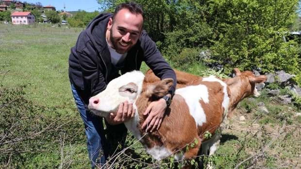 İstanbul'daki kurumsal işini bırakıp gen&ccedil; yaşında k&ouml;y hayatına başladı