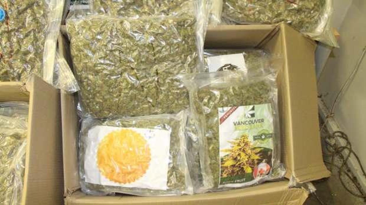 Kapıkule'de bir tırda 370 kilogram esrar ele ge&ccedil;irildi