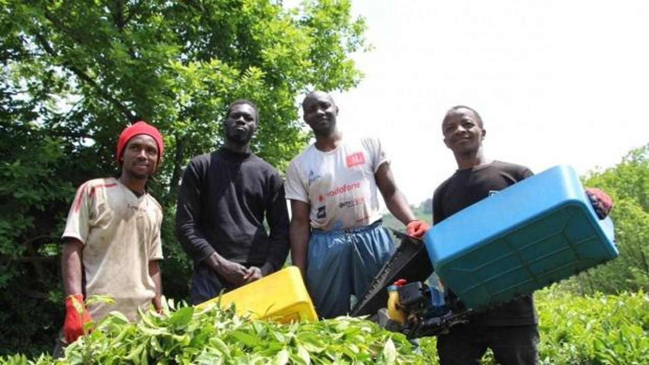 Trabzon'daki Senegalli iş&ccedil;iler i&ccedil;in karar verildi! Sınır dışı edilecekler