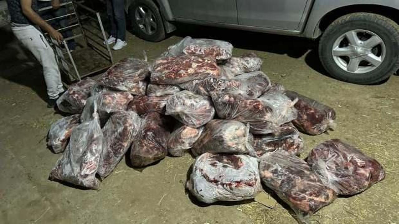 Aydın'da 1 ton domuz eti ele geçirildi! Vatandaşa yedireceklerdi