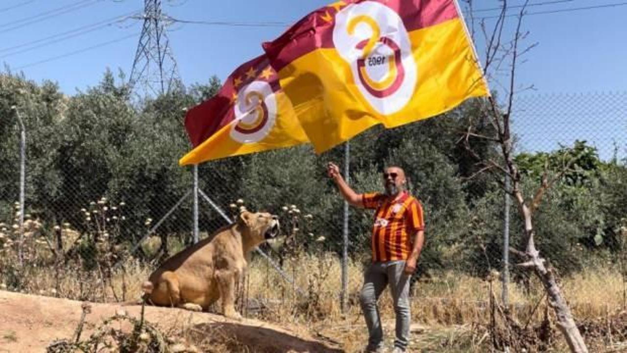 Diyarbakırlı taraftar, Galatasaray&rsquo;ın 24. şampiyonluğunu aslanlarıyla kutladı