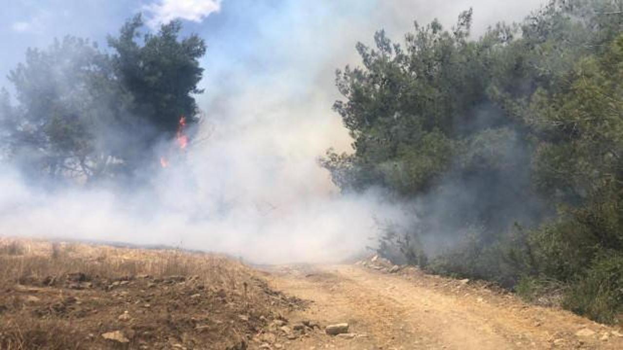 Adana'da orman yangını çıktı! Karadan ve havadan müdahale ediliyor...