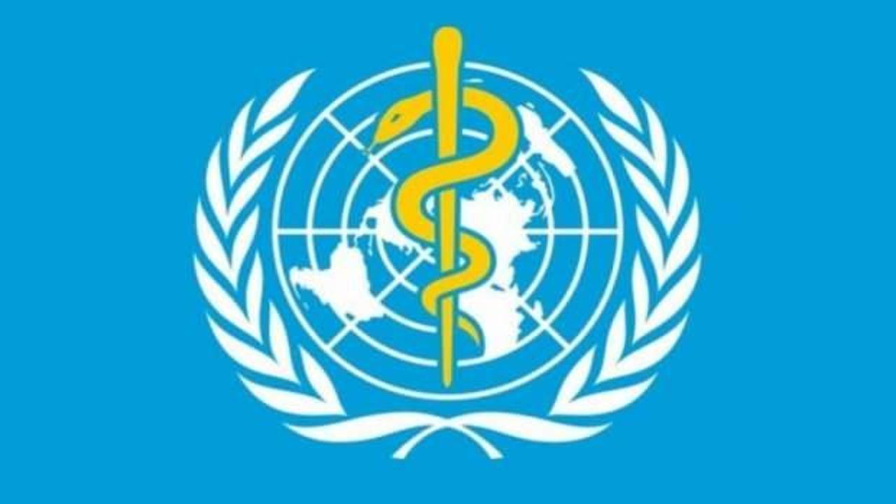 D&uuml;nya Sağlık &Ouml;rg&uuml;t&uuml; Meksika'da ilk &ouml;l&uuml;mc&uuml;l H5N2 kuş gribi vakasını doğruladı