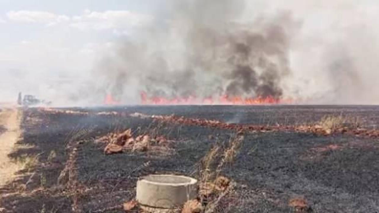 Kahramanmaraş'ta yaklaşık 150 dönüm buğday tarlası yandı