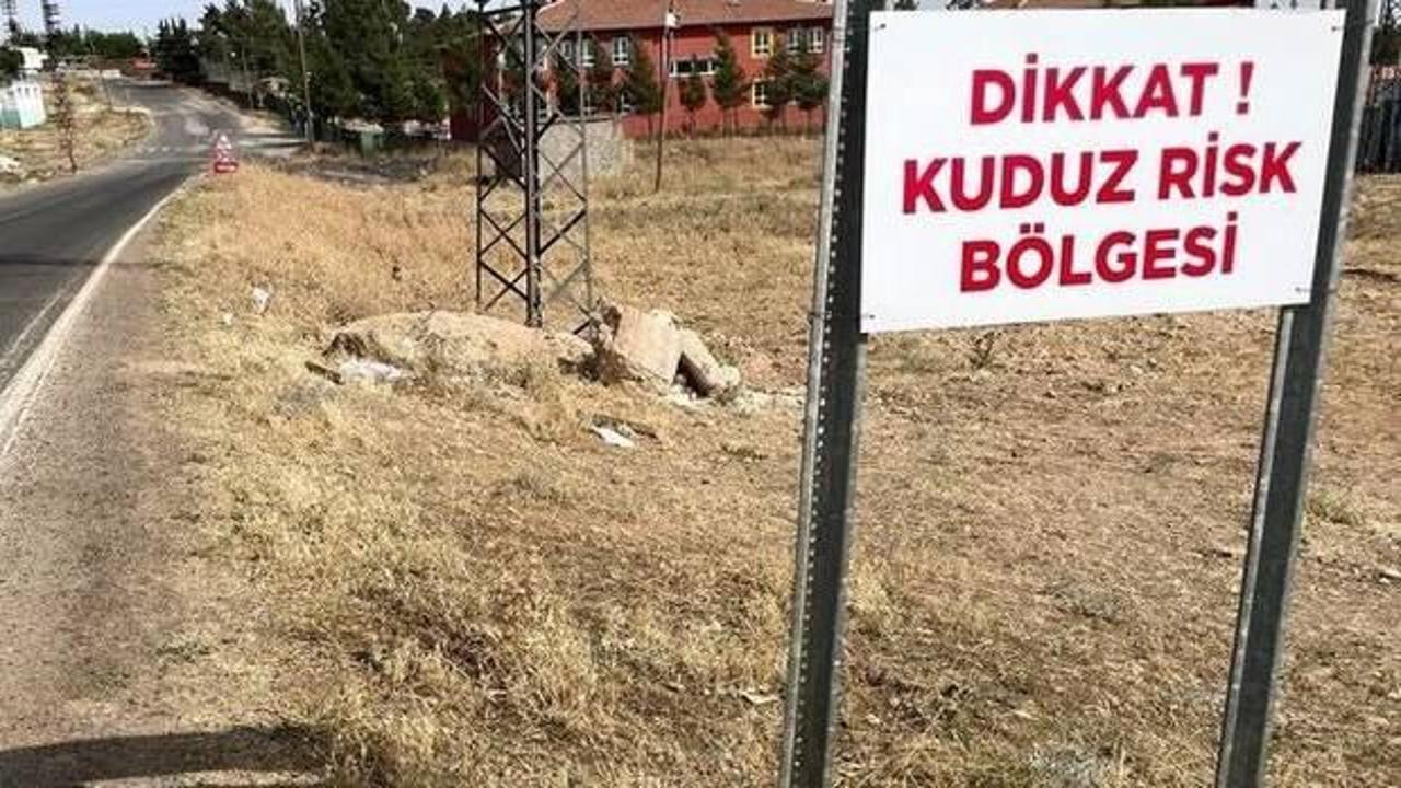 Şanlıurfa'da 2 mahalle, 'kuduz' nedeniyle karantinaya alındı