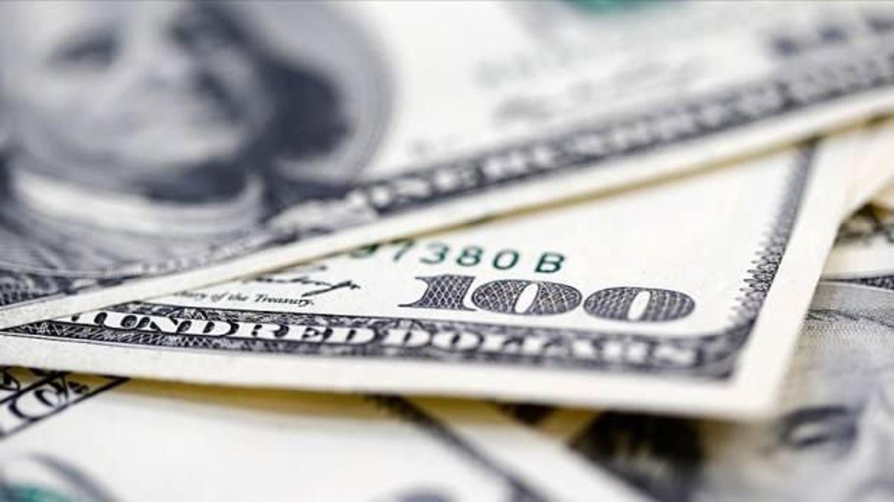 Serbest piyasada döviz açılış fiyatları