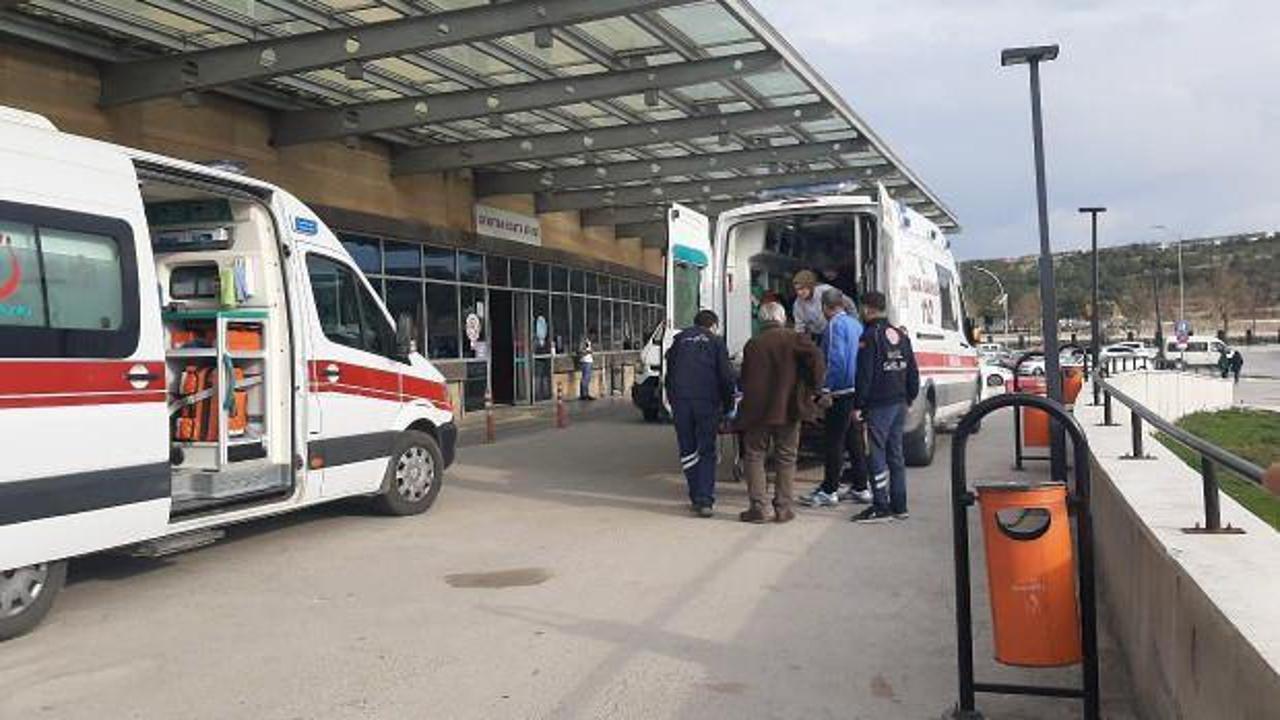 Tunceli’den acı haber geldi: Katil bozayı!