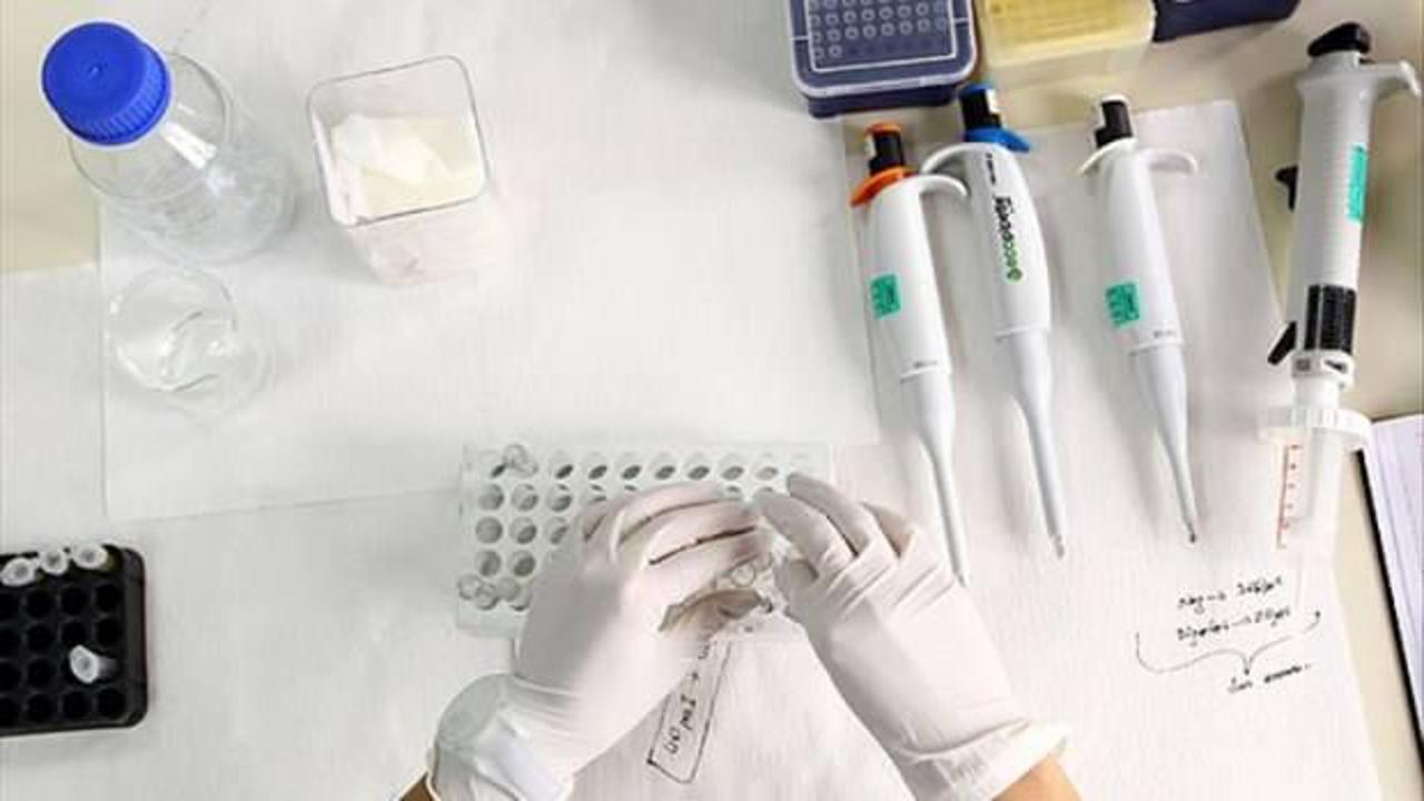 Yeni test ile meme kanseri aylar &ouml;nce teşhis edilebilecek