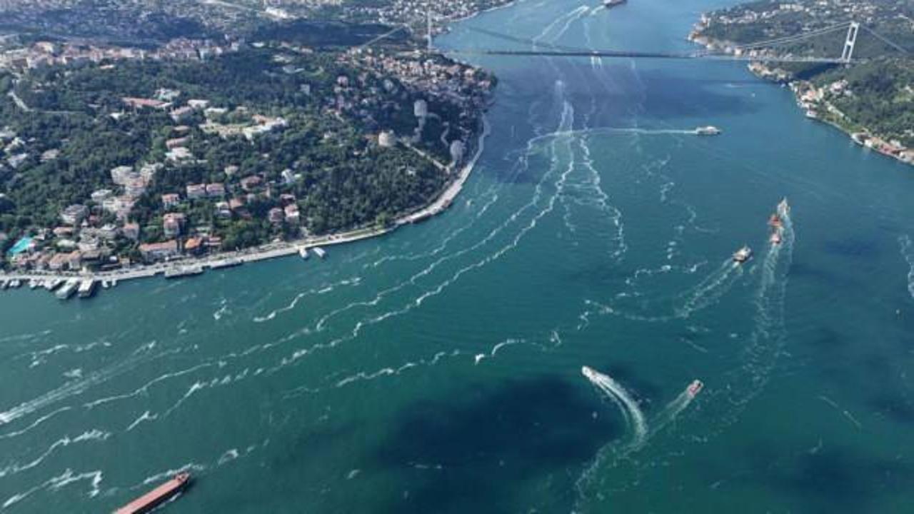 Müsilaj için 'ayı' benzetmesi! Uzmanlar uyardı: Denize sakın girmeyin!