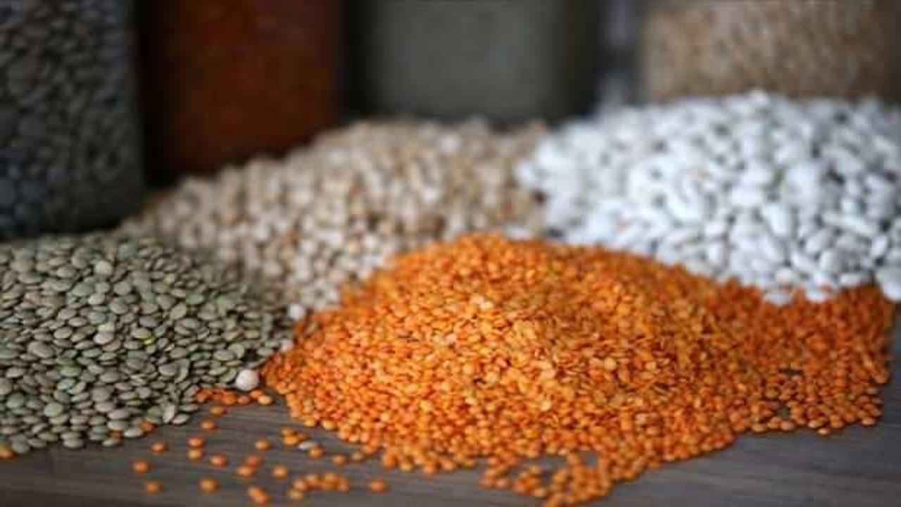 Akdeniz'den mayısta 181 milyon dolarlık hububat ve bakliyat ihra&ccedil; edildi