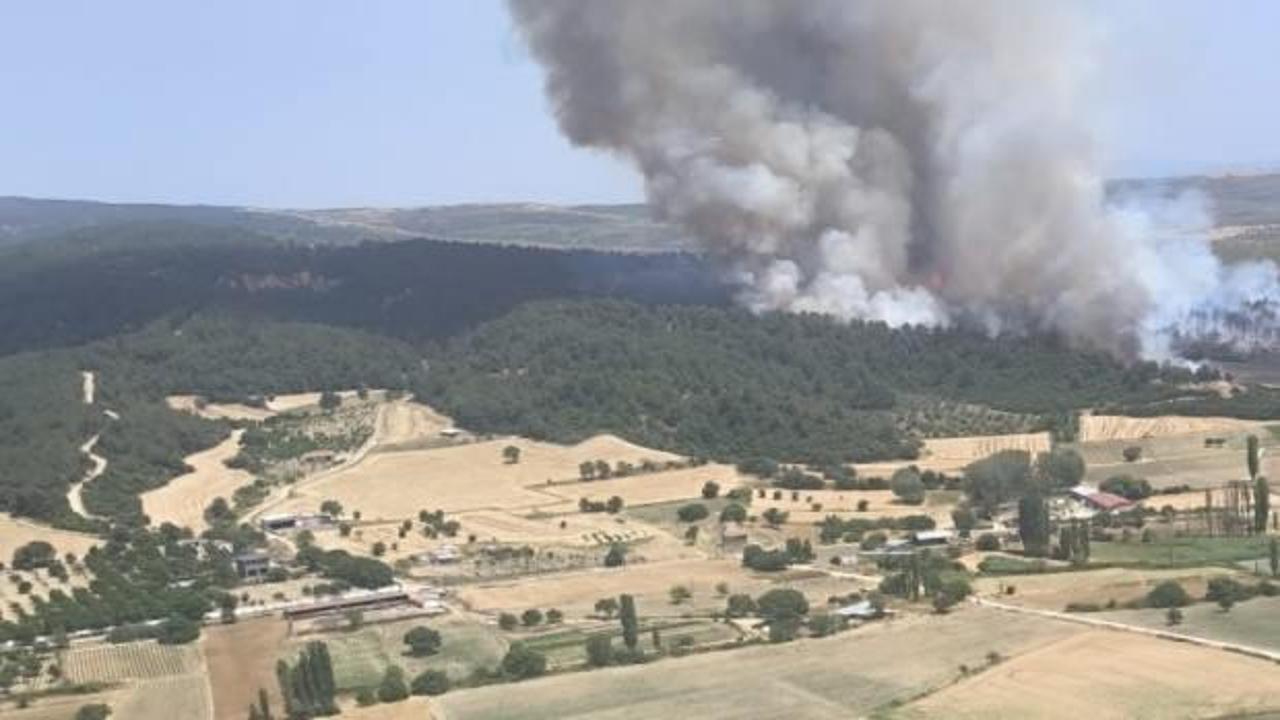 &Ccedil;anakkale'de korkutan orman yangını