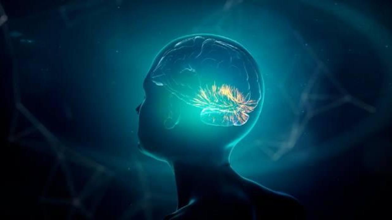 İnsan beyninden "yaşayan bilgisayar" üretildi