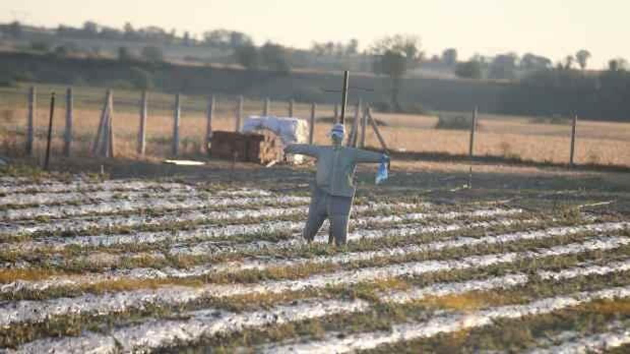 Kırklareli'nde hasar tespit &ccedil;alışmaları başlatıldı