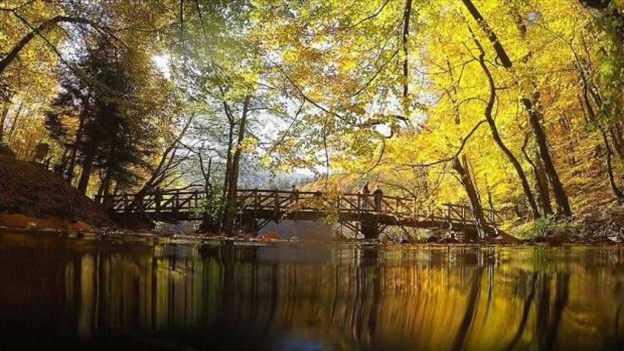 Milli parklar ve tabiat parkları Kurban Bayramı i&ccedil;in hazır