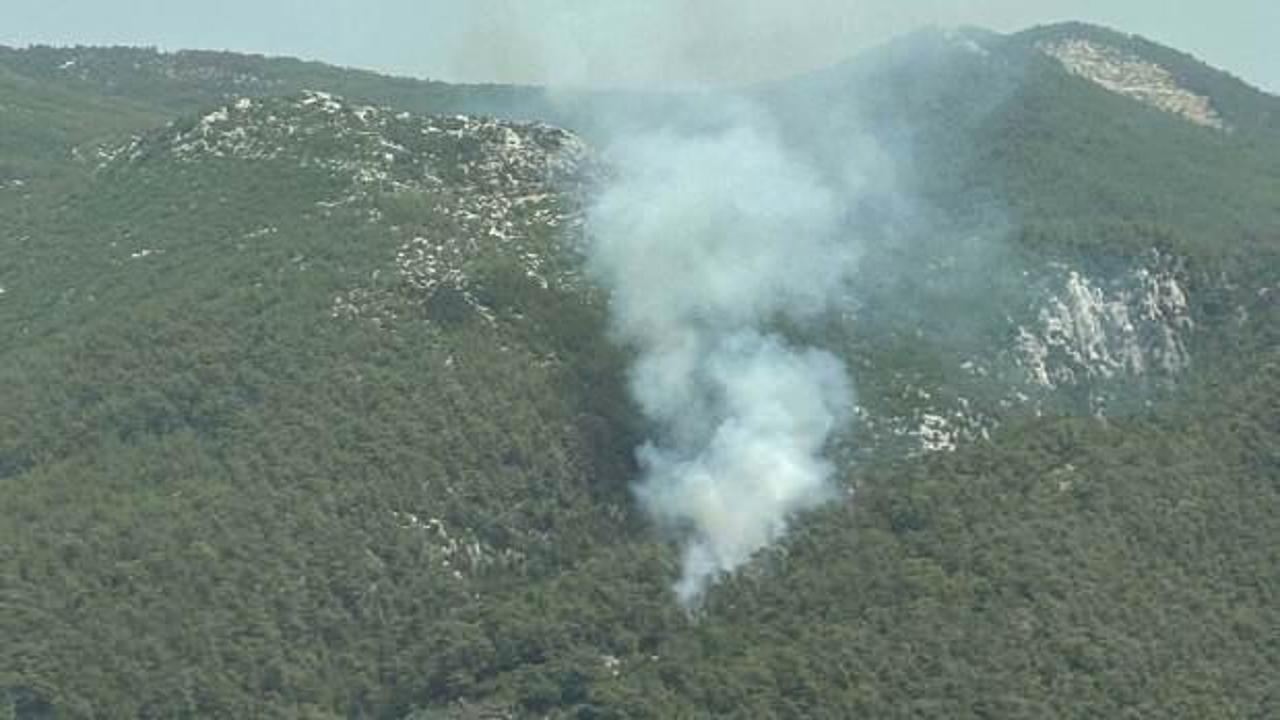 Muğla'da orman yangını