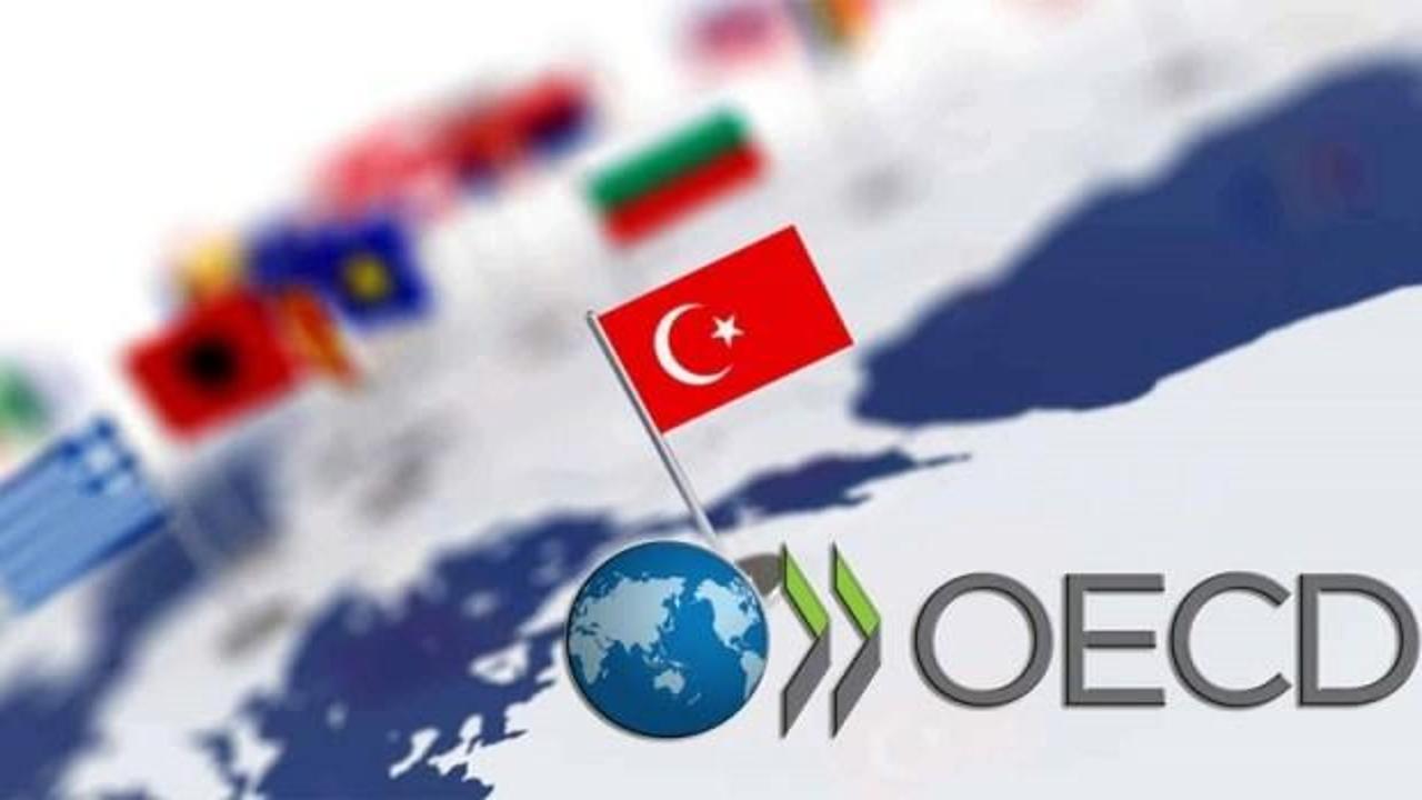 OECD ilan etti: Türkiye ilk sıraya yerleşti