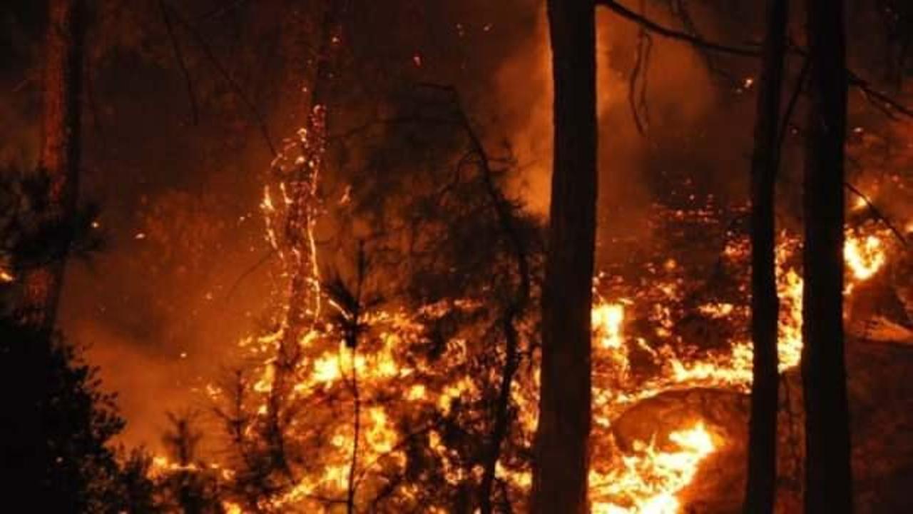 PKK talimatıyla orman yakan hükümlü cezaevinde de yastık ve battaniyeyi ateşe verdi