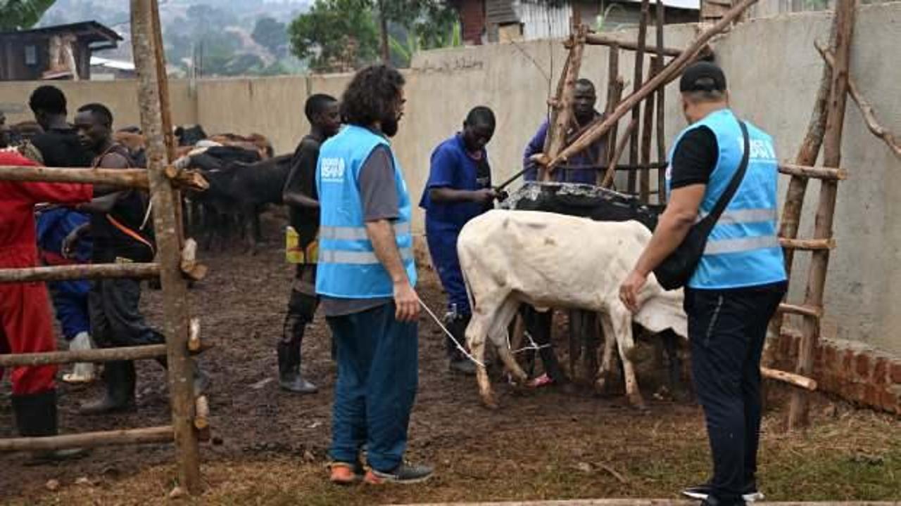 Sadece İnsan Uluslararası Yardım Derneği, Uganda'da 5 bin aileye kurban eti dağıttı