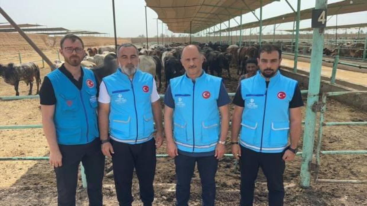 TDV, 36 bin 750 bağışçının kurban hissesini Filistinlilere gönderecek