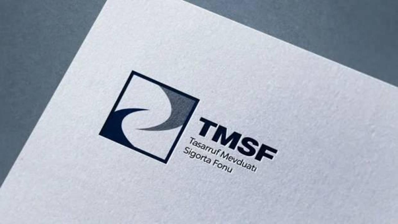 TMSF, üç şirketi satışa çıkardı