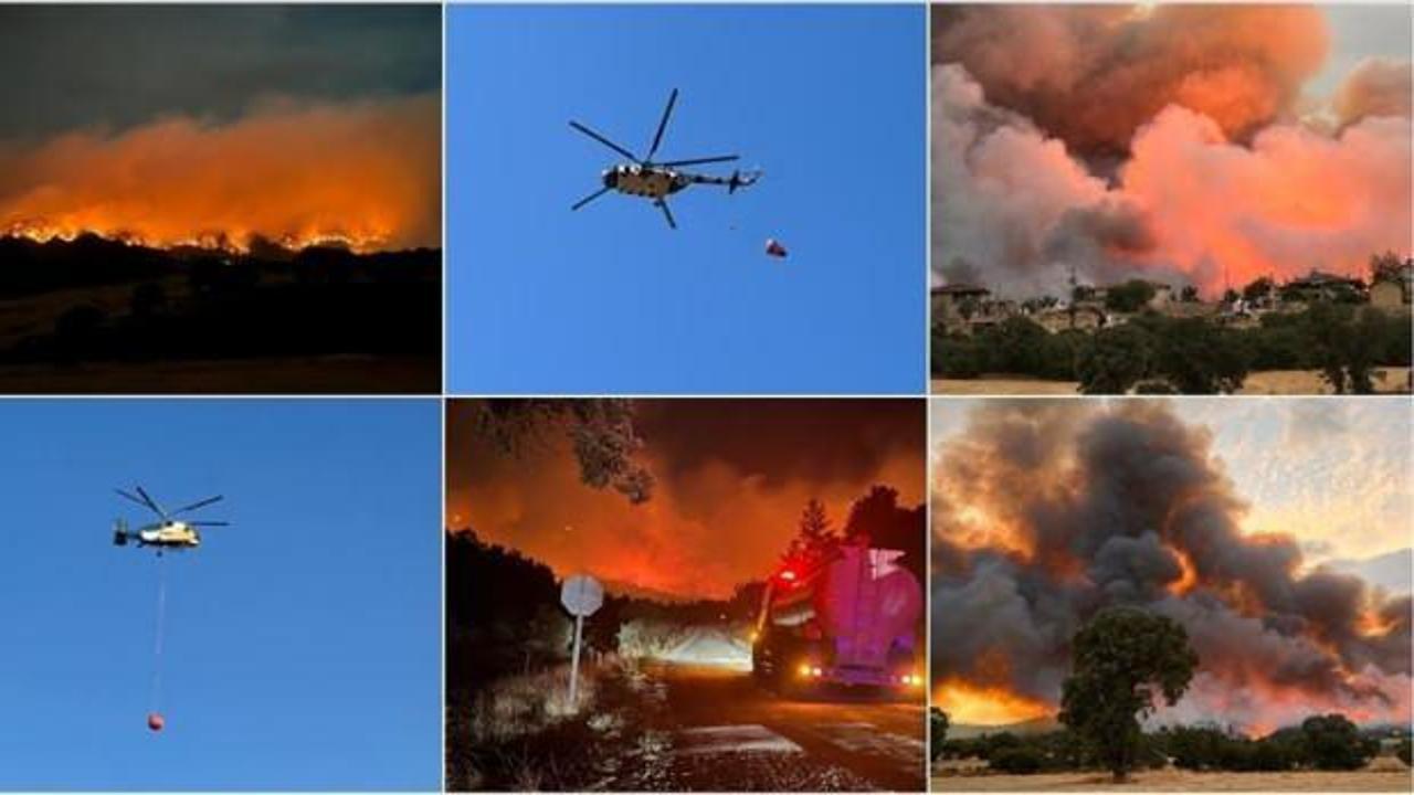 Bakan duyurdu! Uşak'taki orman yangını kontrol altında