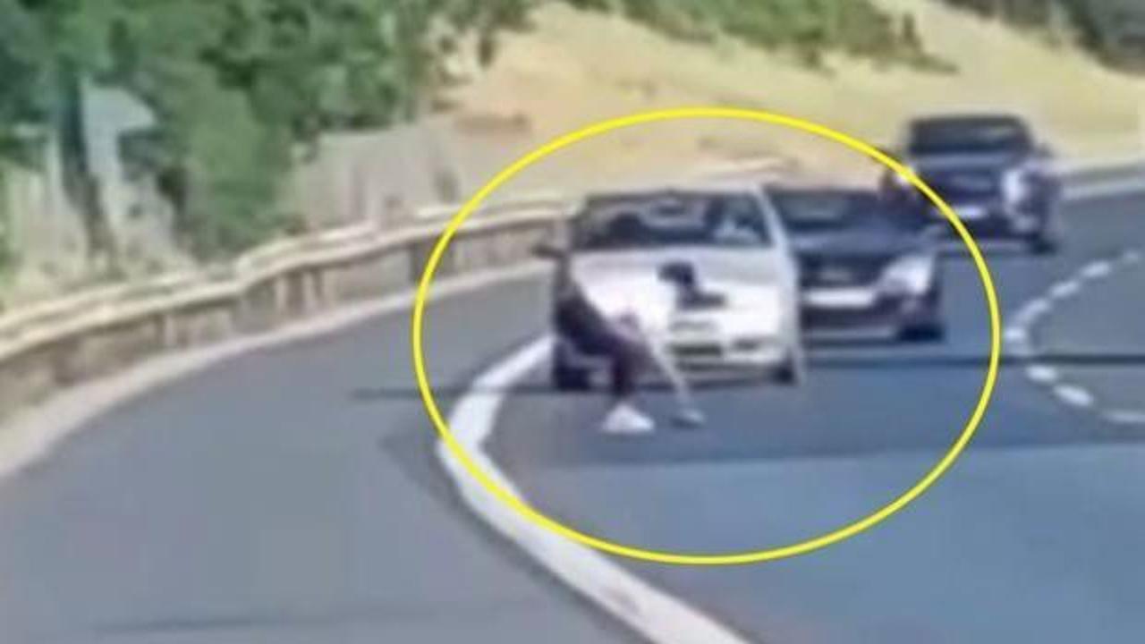 Beykoz'da ara&ccedil;ları durduran kadın, yolda ezilme tehlikesi yaşayan kaplumbağayı kurtardı