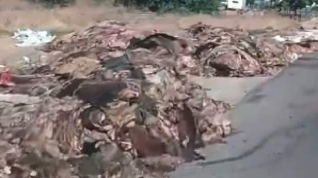 CHP'li isim CHP'li belediyeyi g&ouml;reve &ccedil;ağırdı