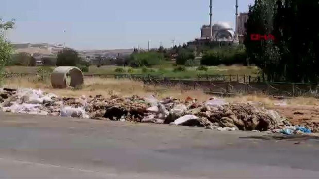 Gaziantep'te, yol kenarlarına atılan yüzlerce kurban derisi ve atık tepki topladı