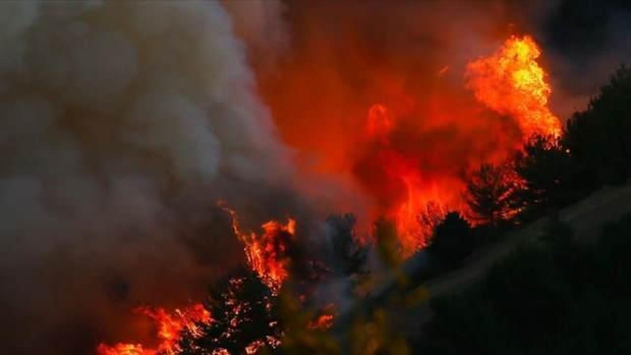 Haziran ayında orman yangınları geçen yıla göre yaklaşık 5 kat arttı