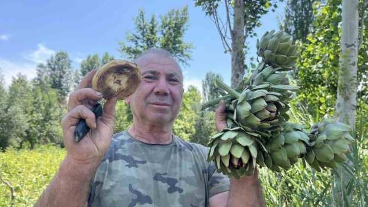 Taleplere yetişemiyor! Pazarda 35 liraya satılıyor