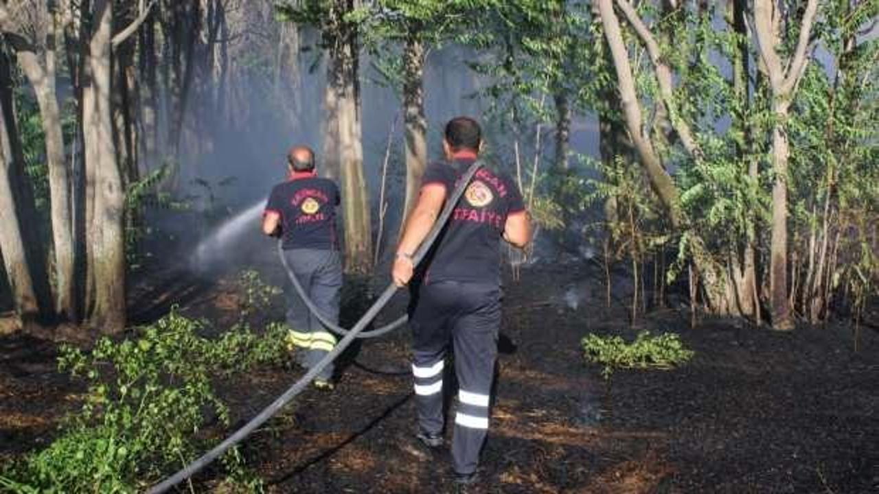 Vatandaşlara ateş yakma, anız yakma ve izmarit atma konusunda uyarı