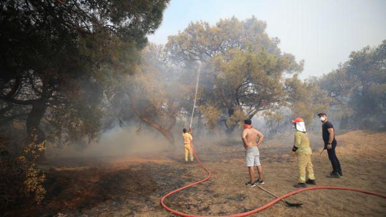 Antalya'da çıkan orman yangın kontrol altına alındı!