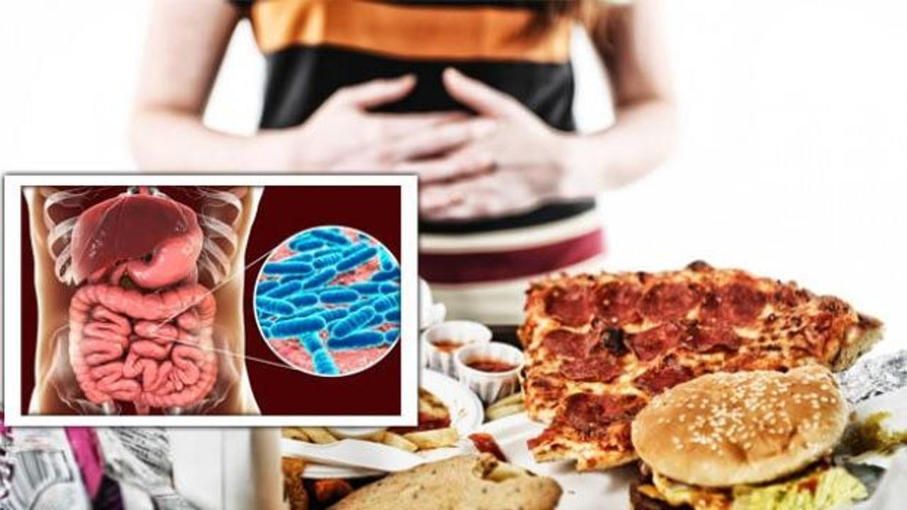 Bağırsak mikrobiyomundaki bakterilerin aşırı yeme ve obezite riski üzerindeki etkisi