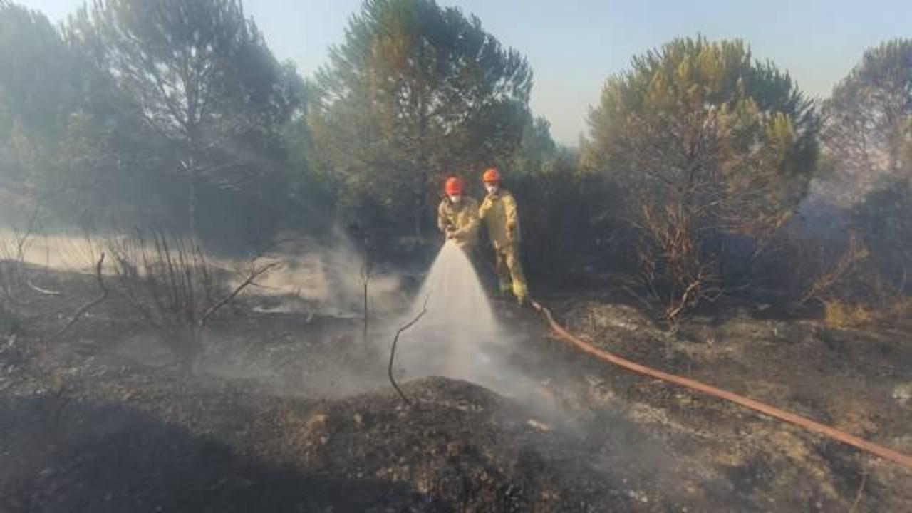 Çanakkale'de ormanlık alandaki yangın kontrol altına alındı