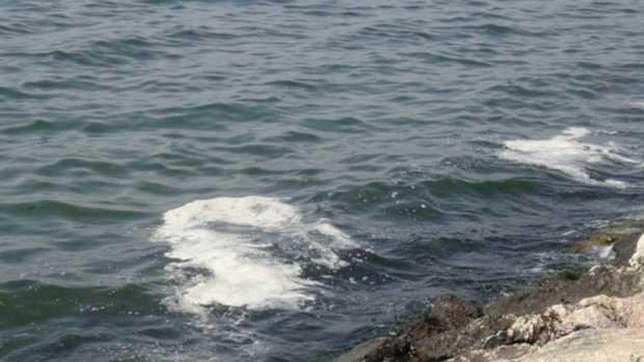 İzmit K&ouml;rfezi'ndeki beyaz tabaka fitoplankton &ccedil;oğalmasından kaynaklı