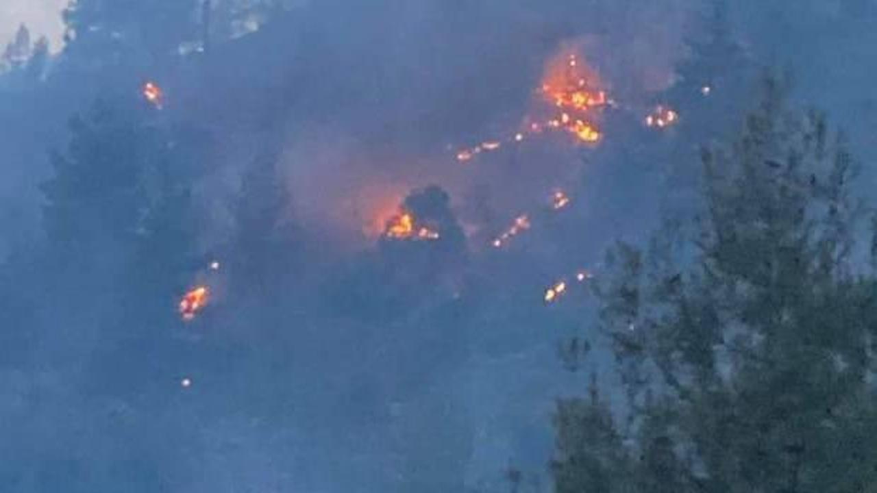 Kayseri'nin Yahyalı ilçesindeki orman yangını kontrol altına alındı