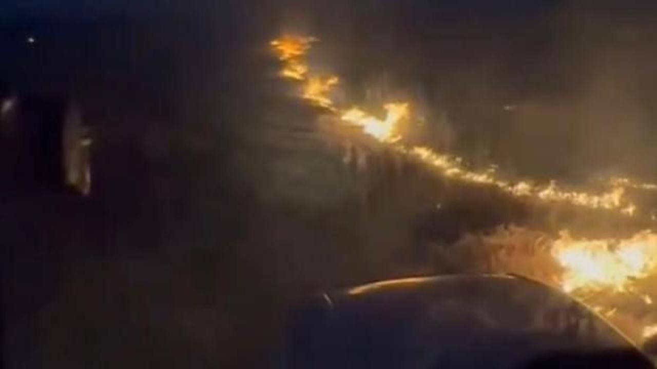 Konya'da elektrik akımına kapılan kuşlar yangına neden oldu