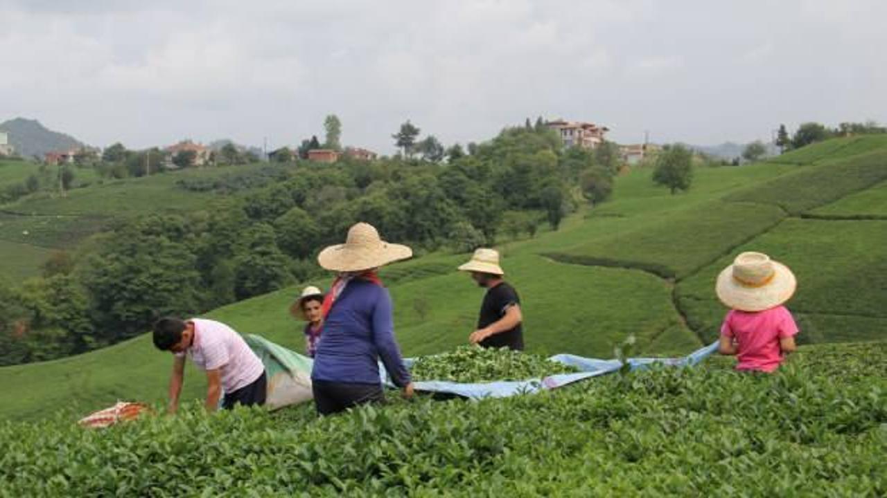 Mayıs ayı yaş &ccedil;ay &ouml;demeleri başlıyor