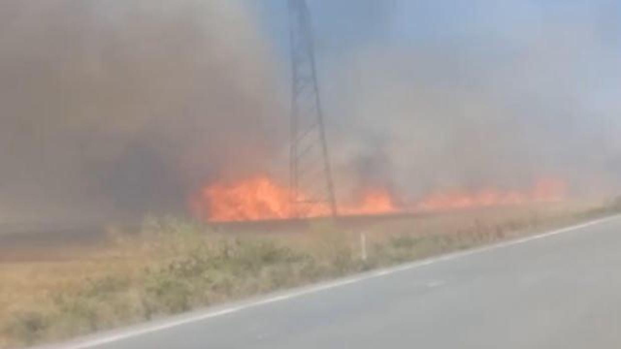 Tekirdağ'da 180 dönüm ekili buğday yandı; 3 kişi dumandan etkilendi