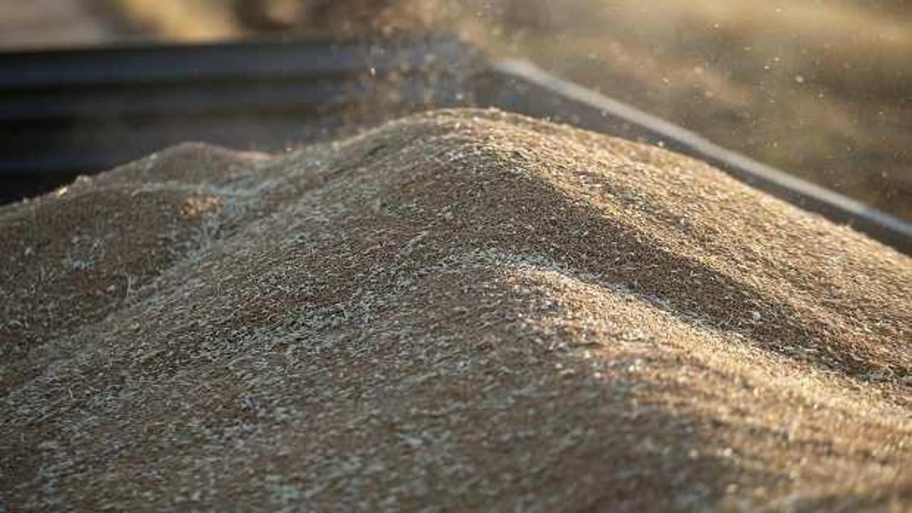 TMO, üreticilerden 1 milyon tonun üzerinde buğday ve arpa aldı