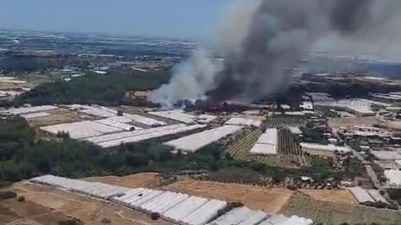 Antalya'da orman yangını