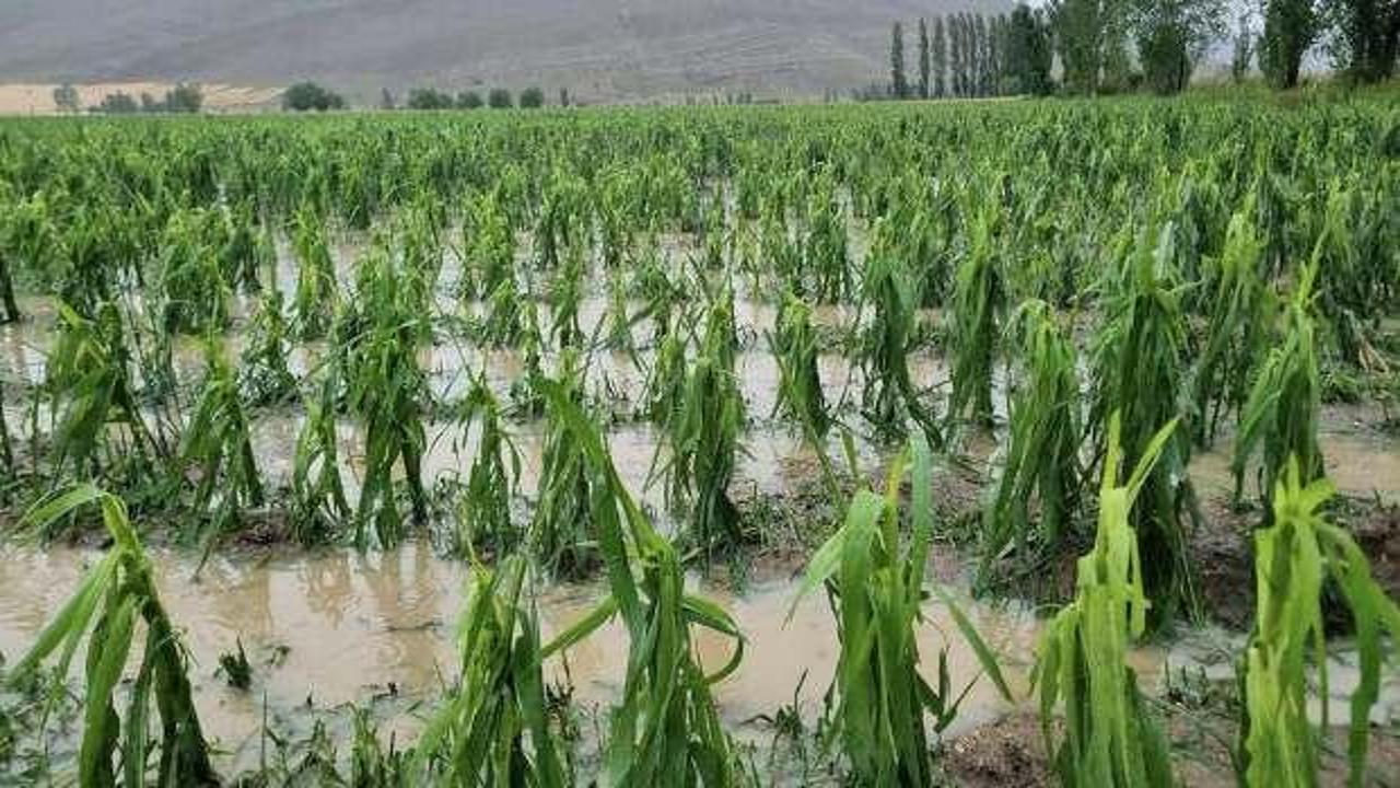 Bayburt'ta dolu ve sağanak: Tarım arazileri zarar g&ouml;rd&uuml;