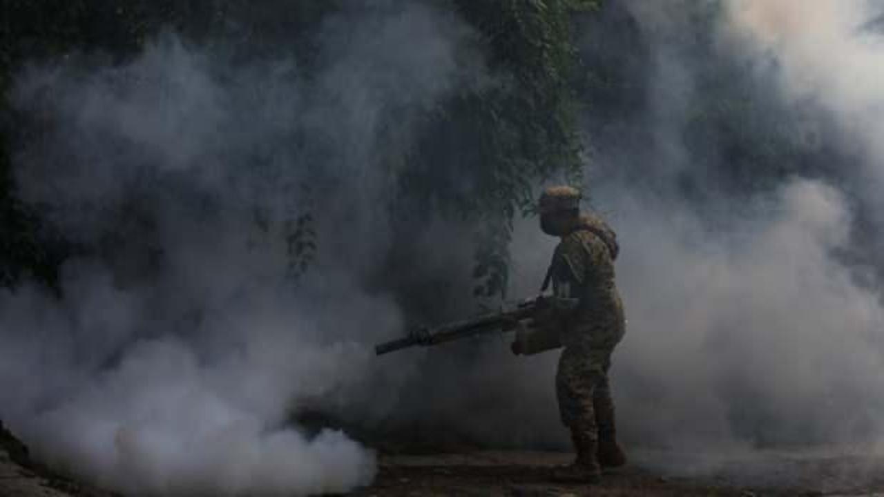 Dang humması hakkında salgın uyarısı yapıldı! El Salvador kırmızı alarmda