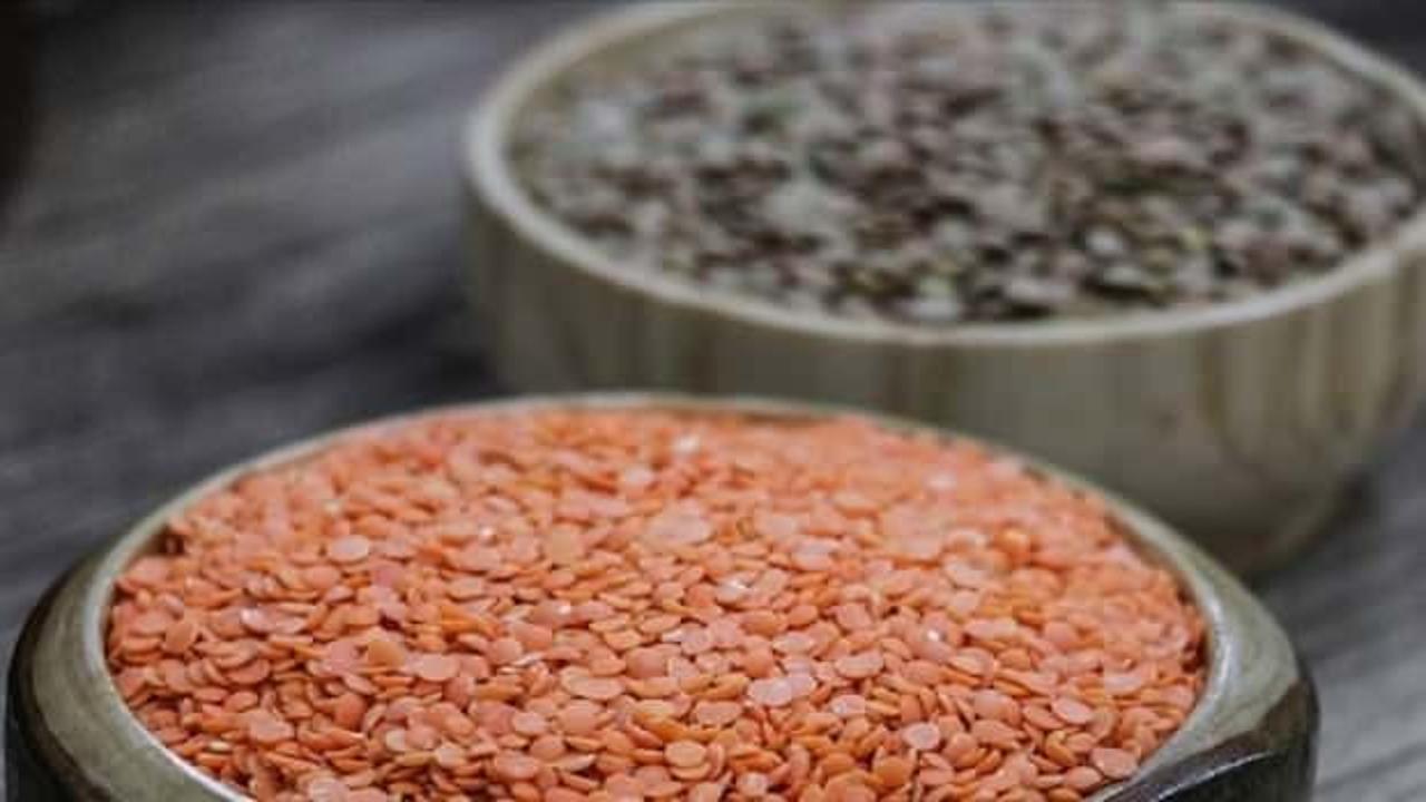 Hububat ihracatı ilk 6 ayda 5,9 milyar dolar oldu