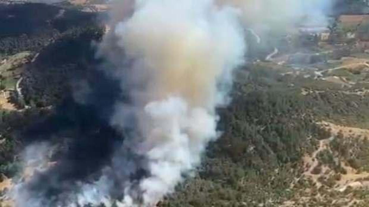 İzmir'de orman yangını, ekipler m&uuml;dahale ediyor!