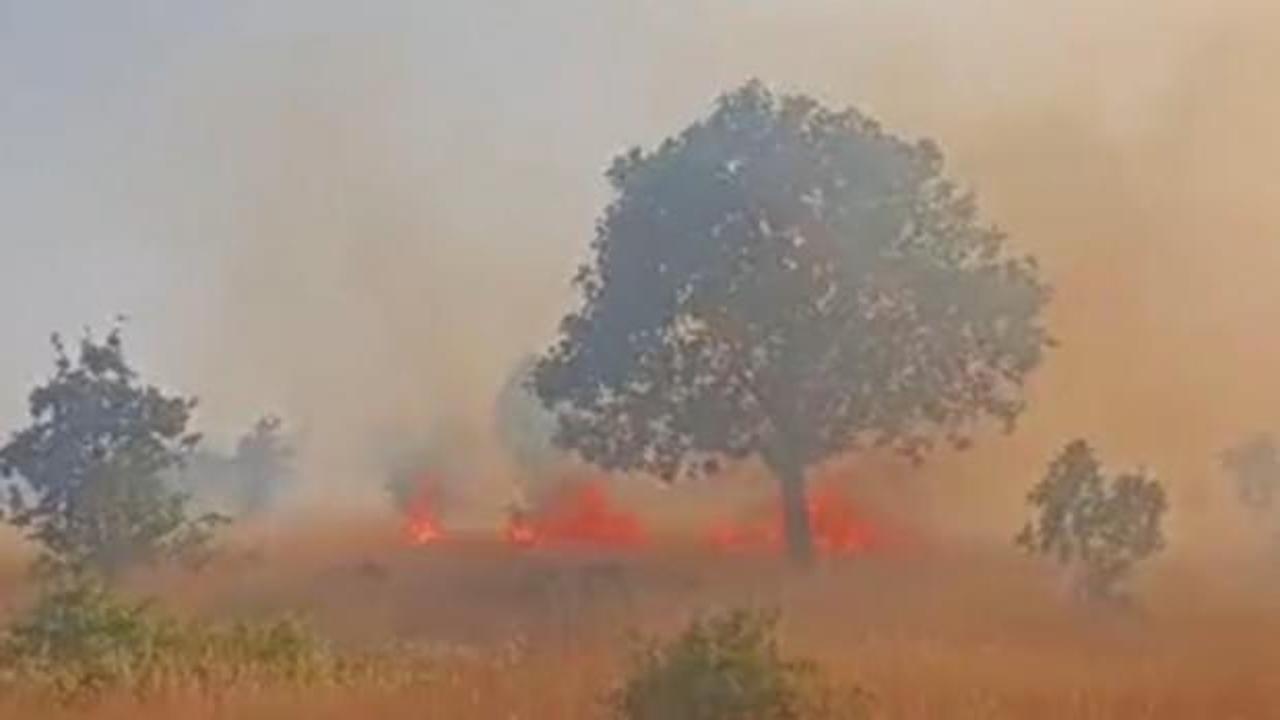Mardin&rsquo;de 5 ayrı noktada &ccedil;ıkan yangın devam ediyor