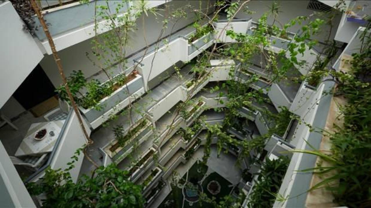Apartmanın avlusunu 30 yılda botanik bahçesine çevirdiler