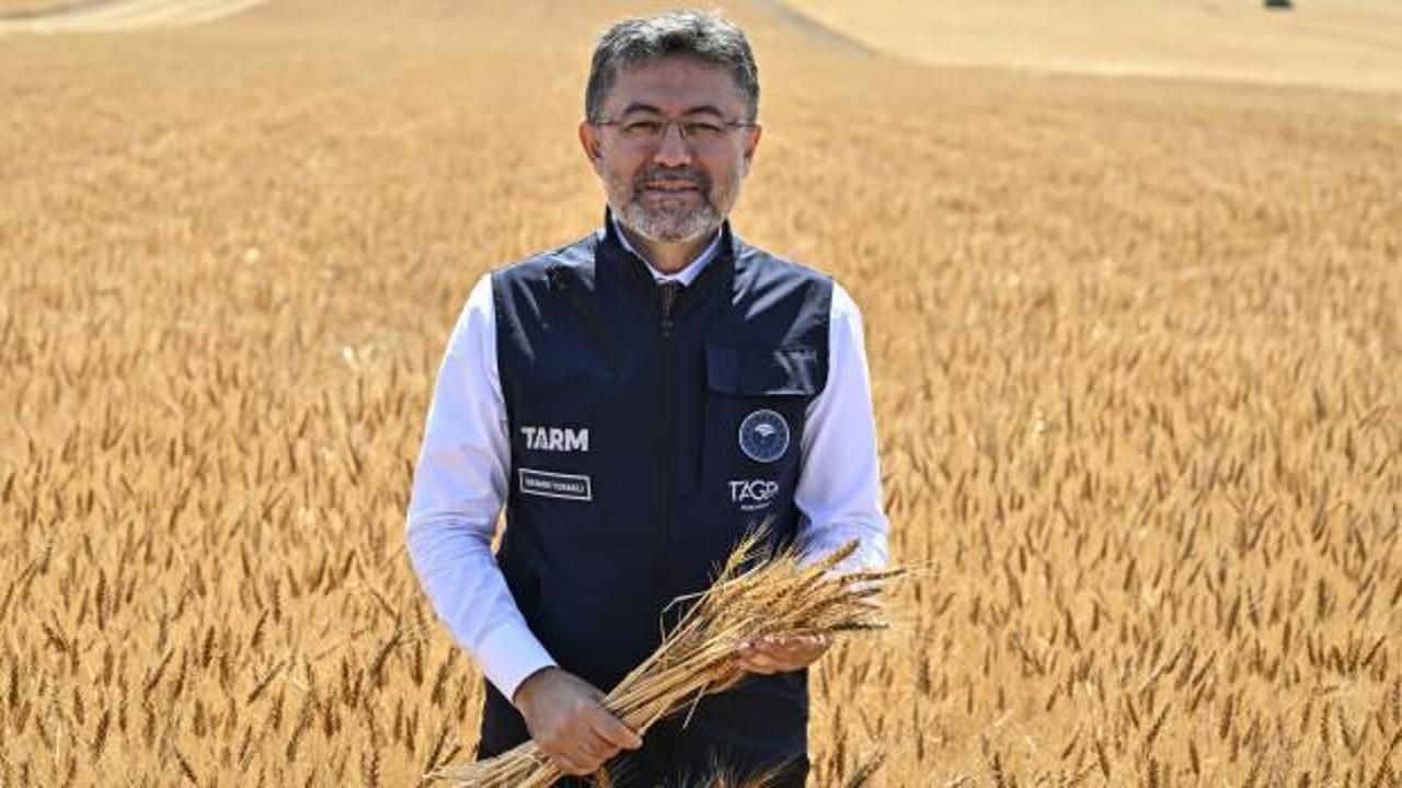 Bakan Yumaklı, yerli ve milli buğday çeşitlerinin hasadına katıldı!