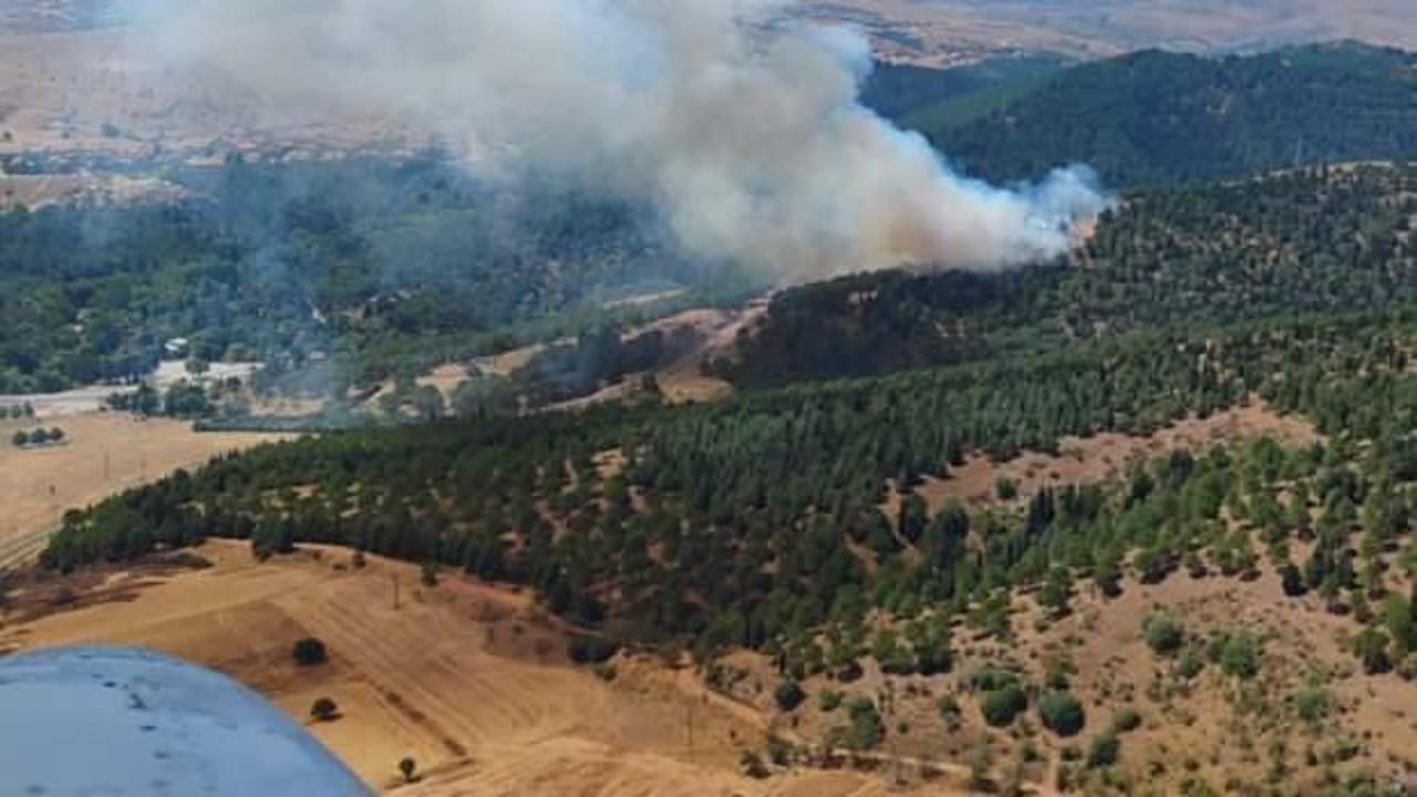 Balıkesir'de orman yangını: Havadan ve karadan müdahale ediliyor