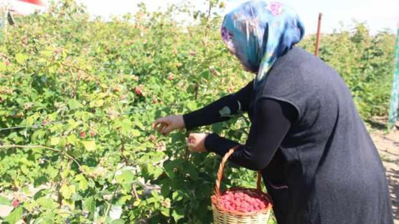 'Burada olmaz’ denileni yaptı! Kentte başka örneği yok